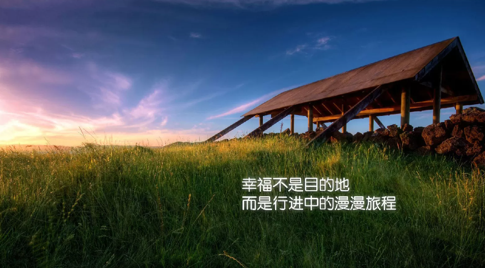 国家专项计划：促进教育公平的重要举措