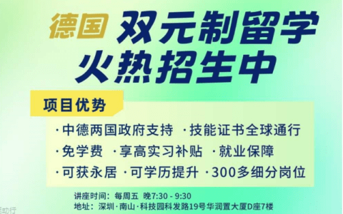 全年招生 免学费 享补贴 保就业：德国IT名企双元本科专业解析